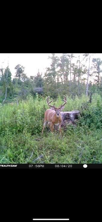 Warren County, MS   130 acres +/-