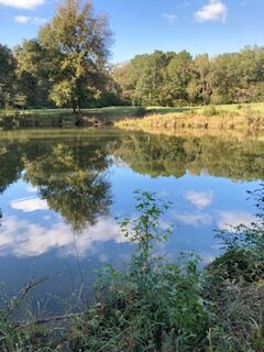 mwood16lake