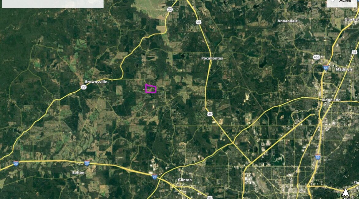 Hinds Co 230+_- Acres_2
