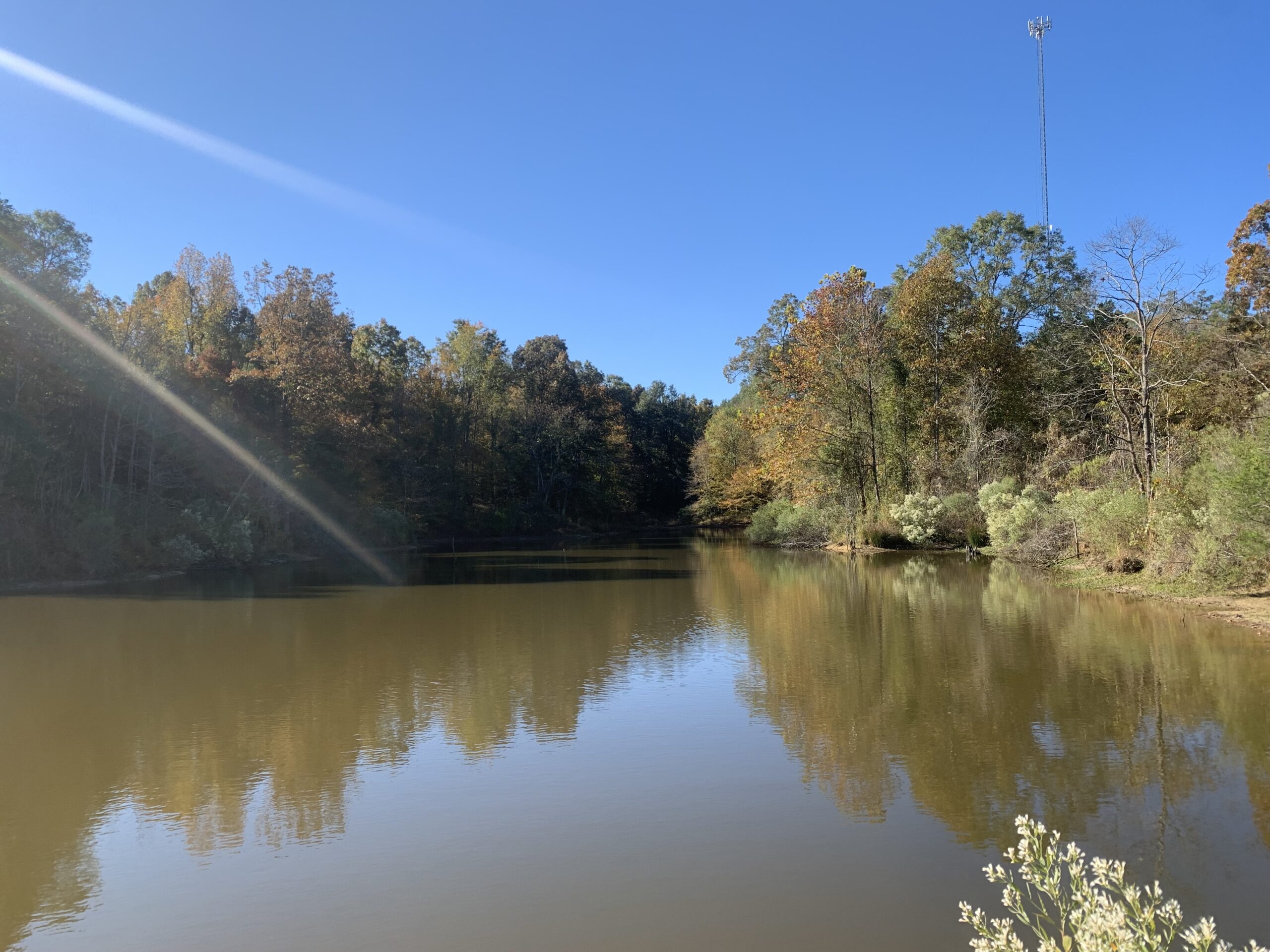 Hinds County, MS 70 acres +/ Rice Realty Group Inc
