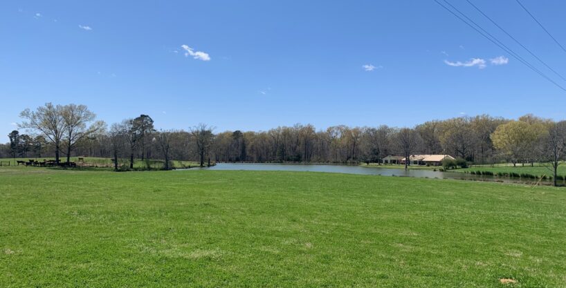 Claiborne County, MS   56 acres +/-