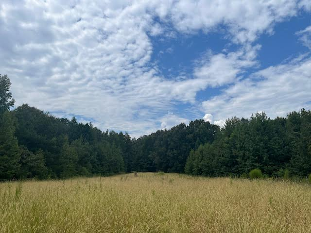 Hinds County, MS   155 acres +/-