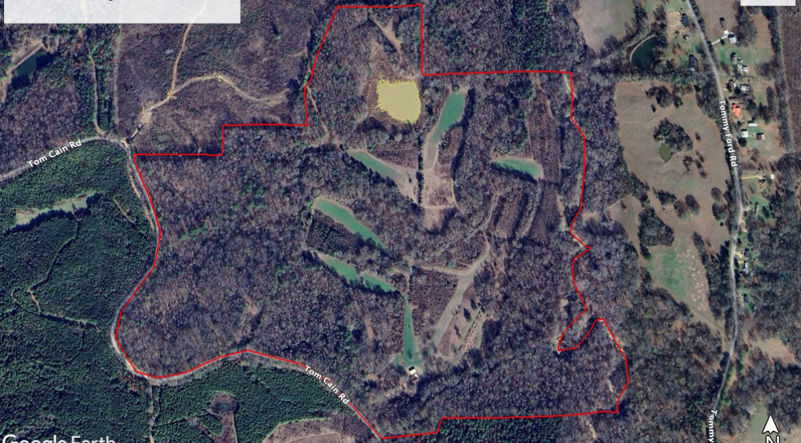 Hinds County 155+_- Aerial 1