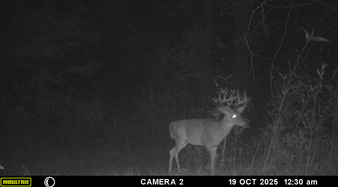 MOULTRIE DIGITAL GAME CAMERA