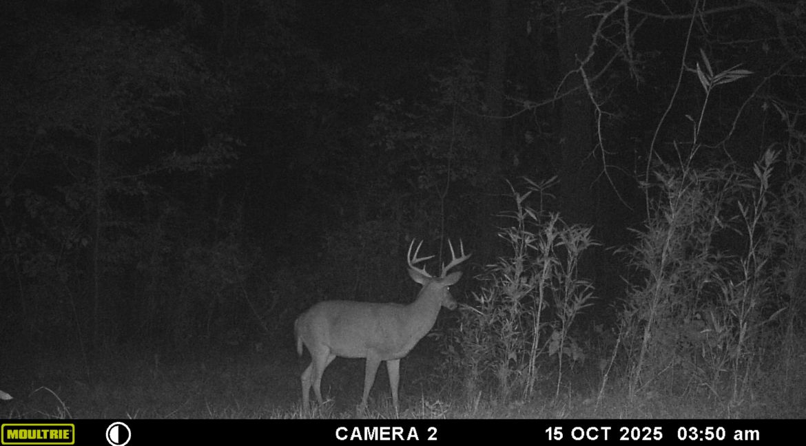 MOULTRIE DIGITAL GAME CAMERA