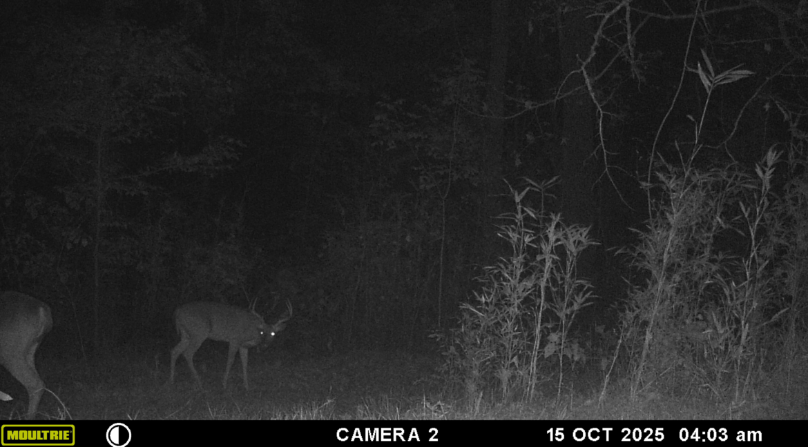 MOULTRIE DIGITAL GAME CAMERA