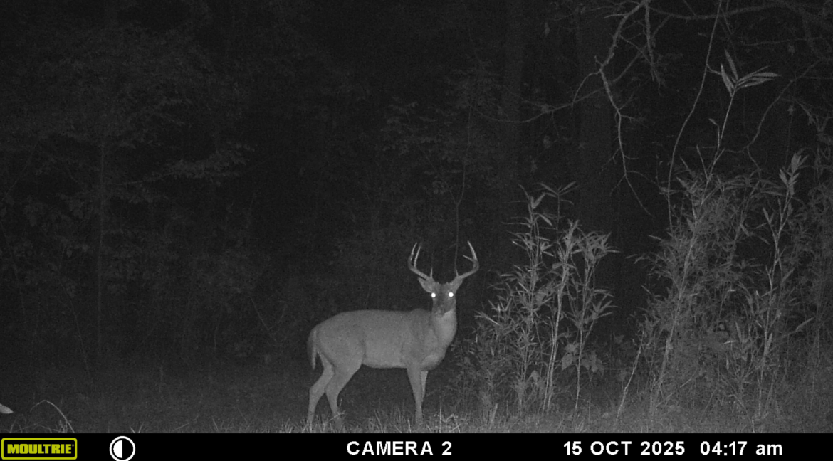 MOULTRIE DIGITAL GAME CAMERA