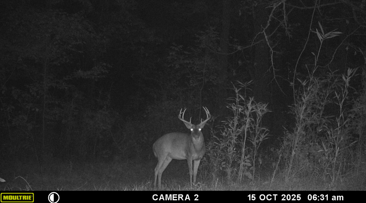 MOULTRIE DIGITAL GAME CAMERA