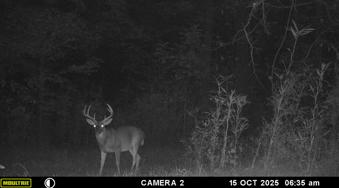 MOULTRIE DIGITAL GAME CAMERA