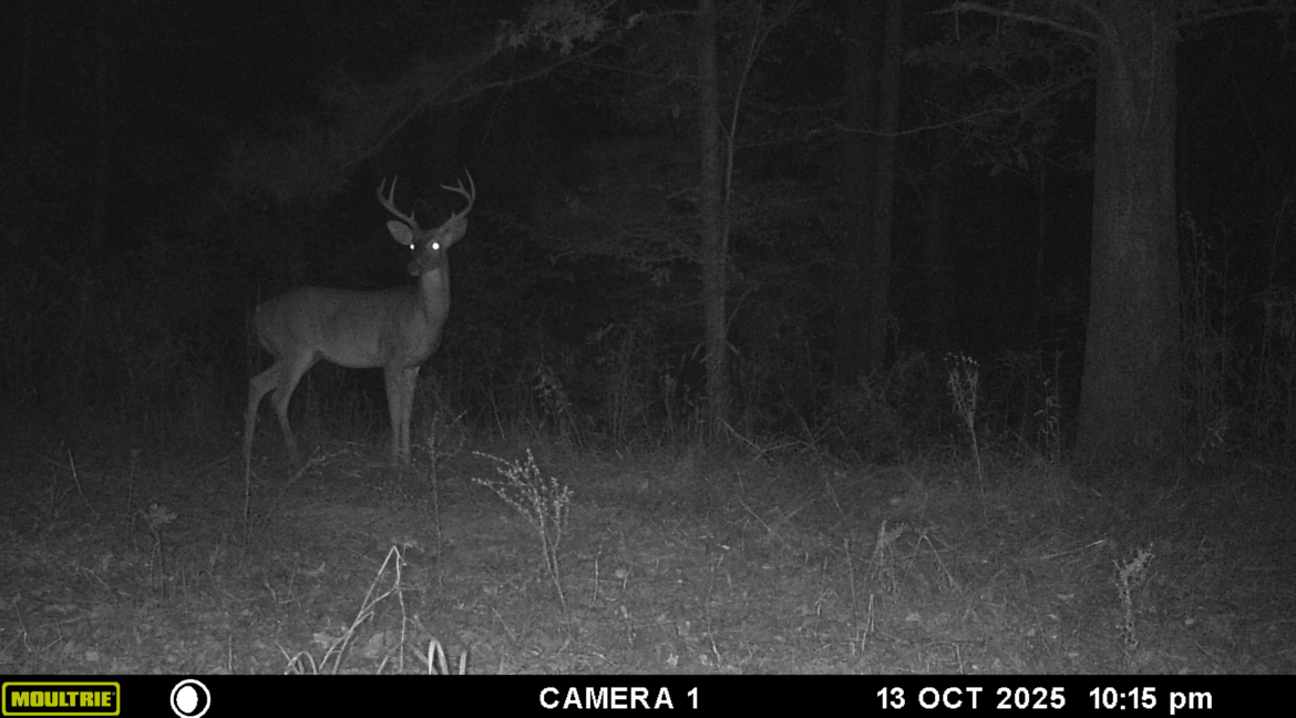 MOULTRIE DIGITAL GAME CAMERA