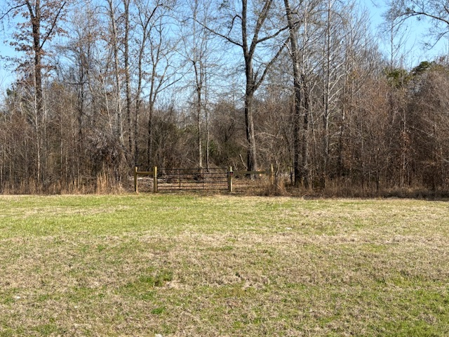 Claiborne County, MS   22 acres +/-