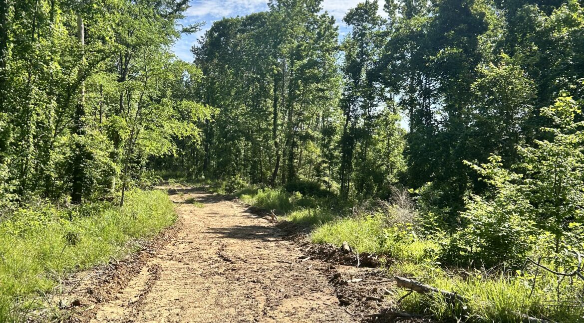 IMG_0201